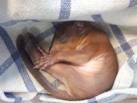 WhatsApp Image 2019-06-06 at 13.17.45.jpeg