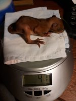 WhatsApp Image 2019-06-06 at 20.07.39.jpeg