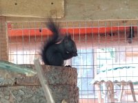 WhatsApp Image 2019-06-22 at 13.48.57.jpeg