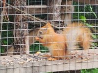 WhatsApp Image 2019-06-30 at 15.13.27.jpeg