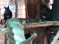 WhatsApp Image 2019-06-22 at 13.47.53.jpeg