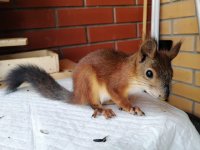 WhatsApp Image 2019-07-18 at 18.09.05 (1).jpeg