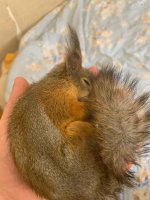 4fCzoZSzkGs-min (1).jpg