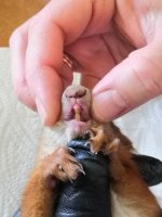 IMG_20220507_121555 (1).jpg