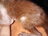 IMG_20220616_201127 (1).jpg