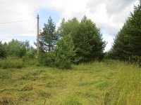 для белок.JPG