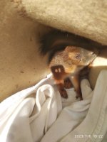 photo_2023-07-06_15-25-31 (2).jpg