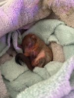 photo1713871113 (1).jpeg