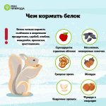 WhatsApp Image 2025-11-17 at 13.56.33.jpeg