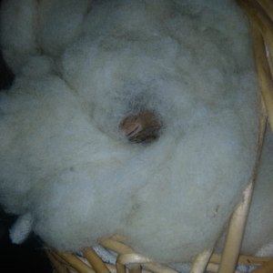 WhatsApp Image 2018-12-19.jpg