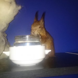 WhatsApp Image 2018-12-24.jpg