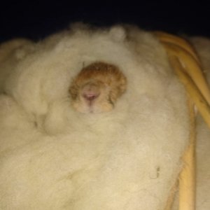 WhatsApp Image 2018-12-28 at 22.34.06.jpg