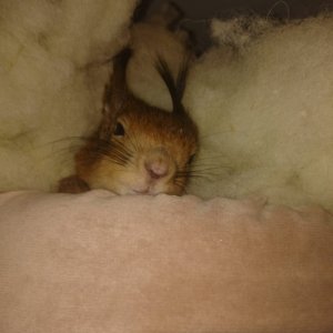 WhatsApp Image 2019-01-22 at 19.00.34.jpg