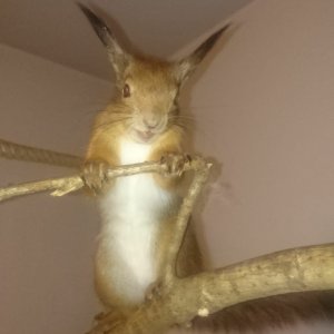 WhatsApp Image 2019-02-23 at 22.05.13.jpg