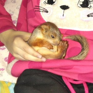 Первые дни у нас дома