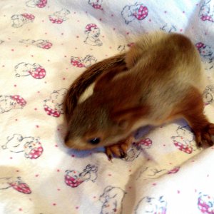 Первые дни у нас дома