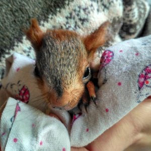 Первые дни у нас дома