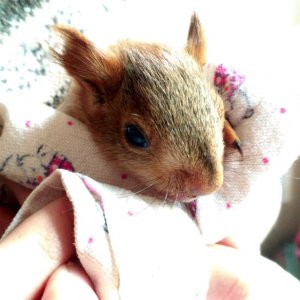 Первые дни у нас дома