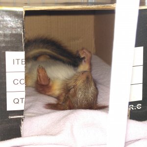 Хорошо спим