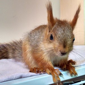 Нам примерно уже 60-65 дней