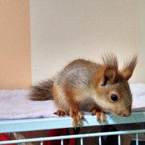 Нам примерно уже 60-65 дней