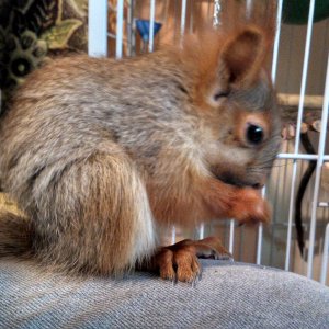 Нам примерно уже 60-65 дней