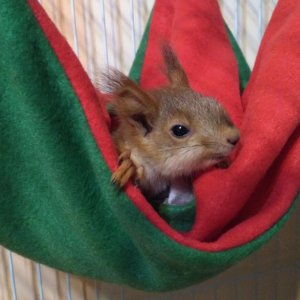 Нам примерно уже 60-65 дней