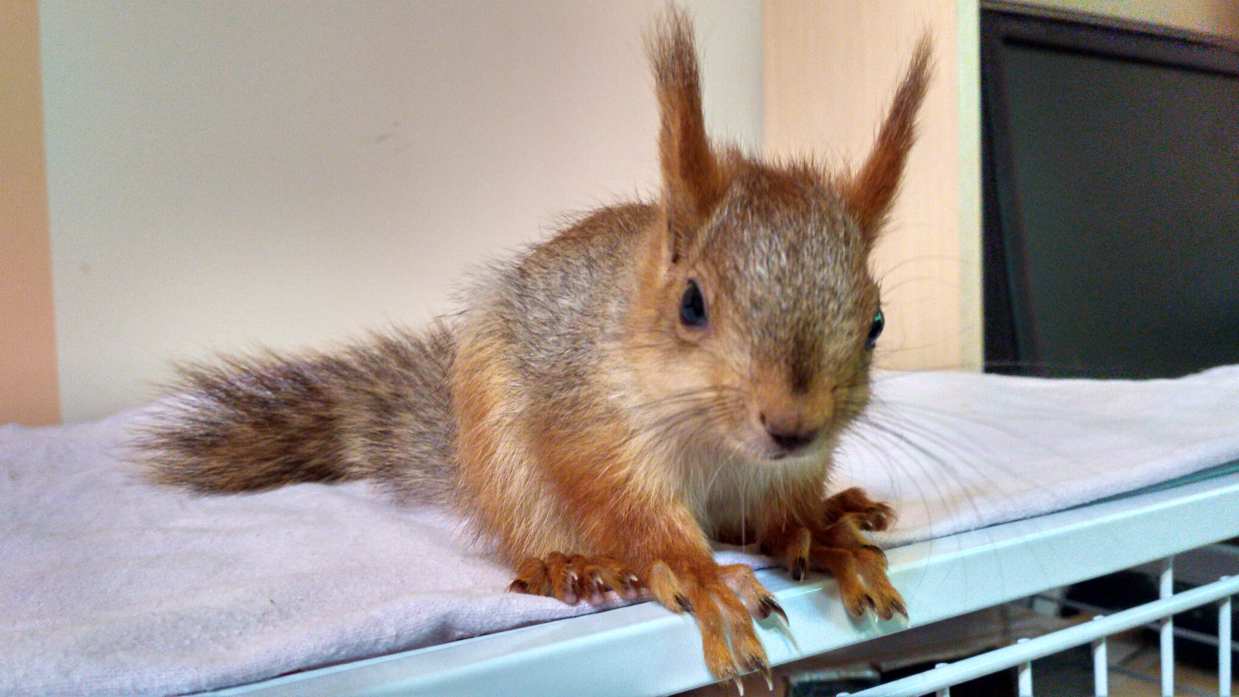 Нам примерно уже 60-65 дней