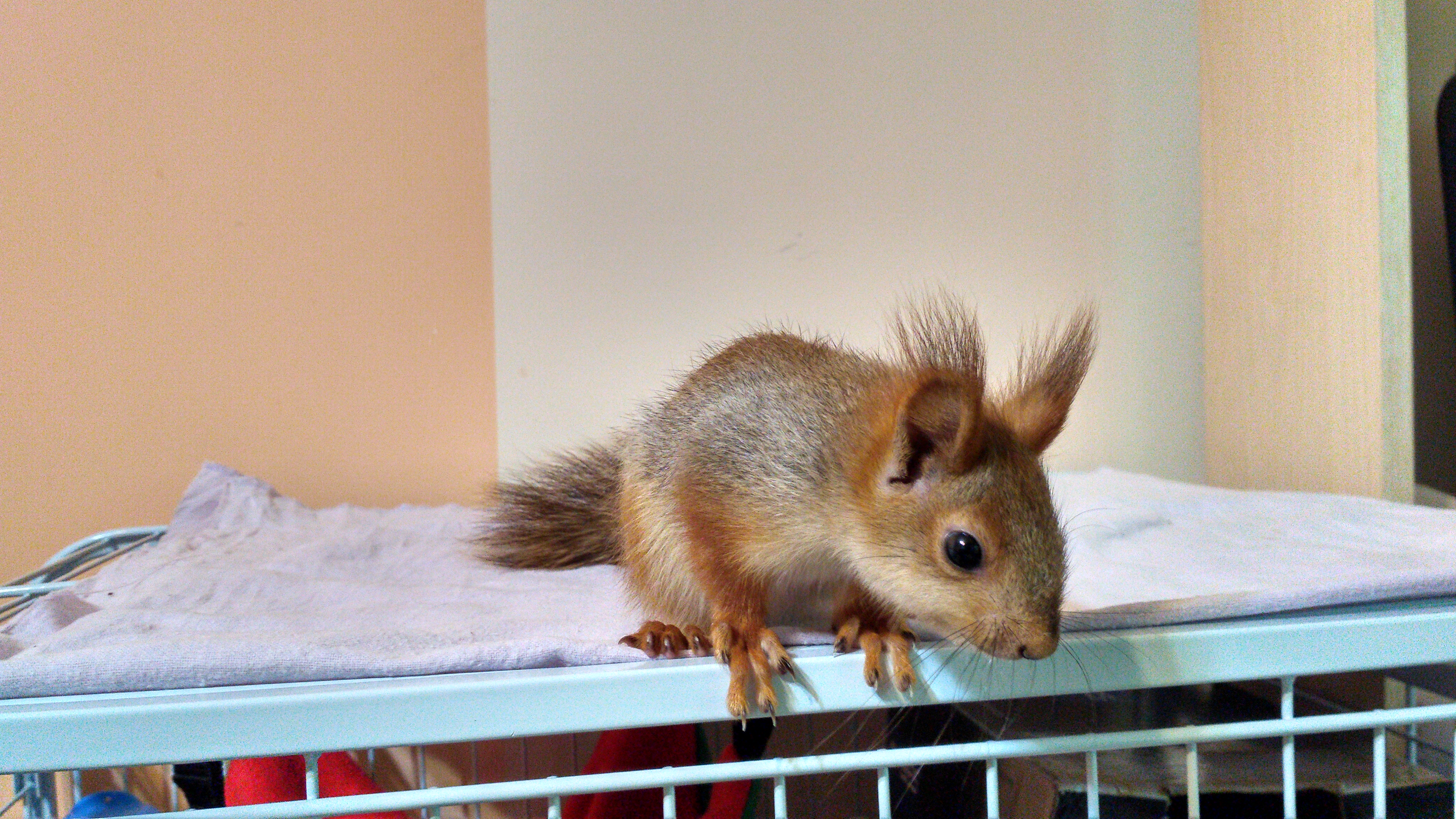 Нам примерно уже 60-65 дней