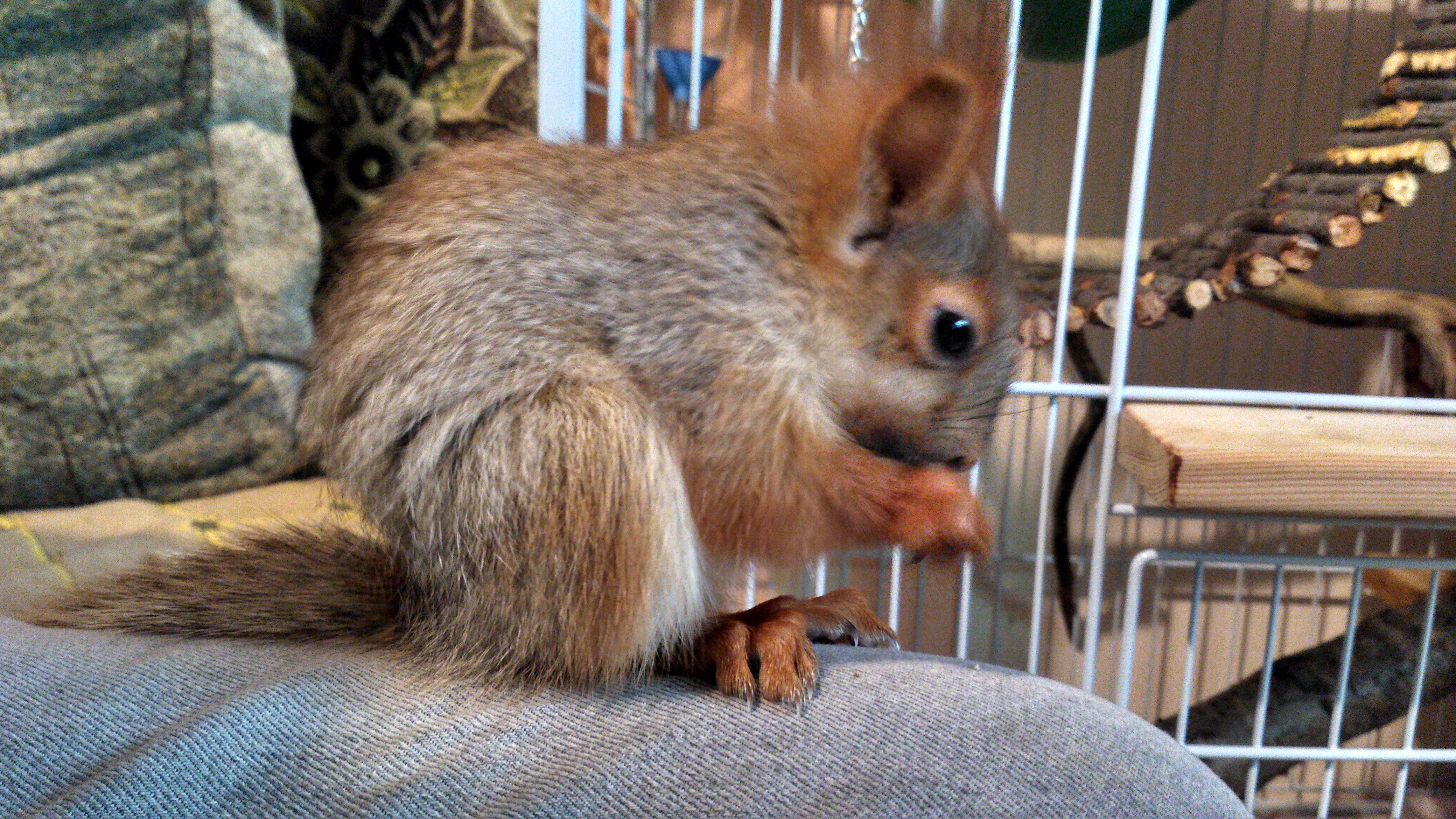 Нам примерно уже 60-65 дней