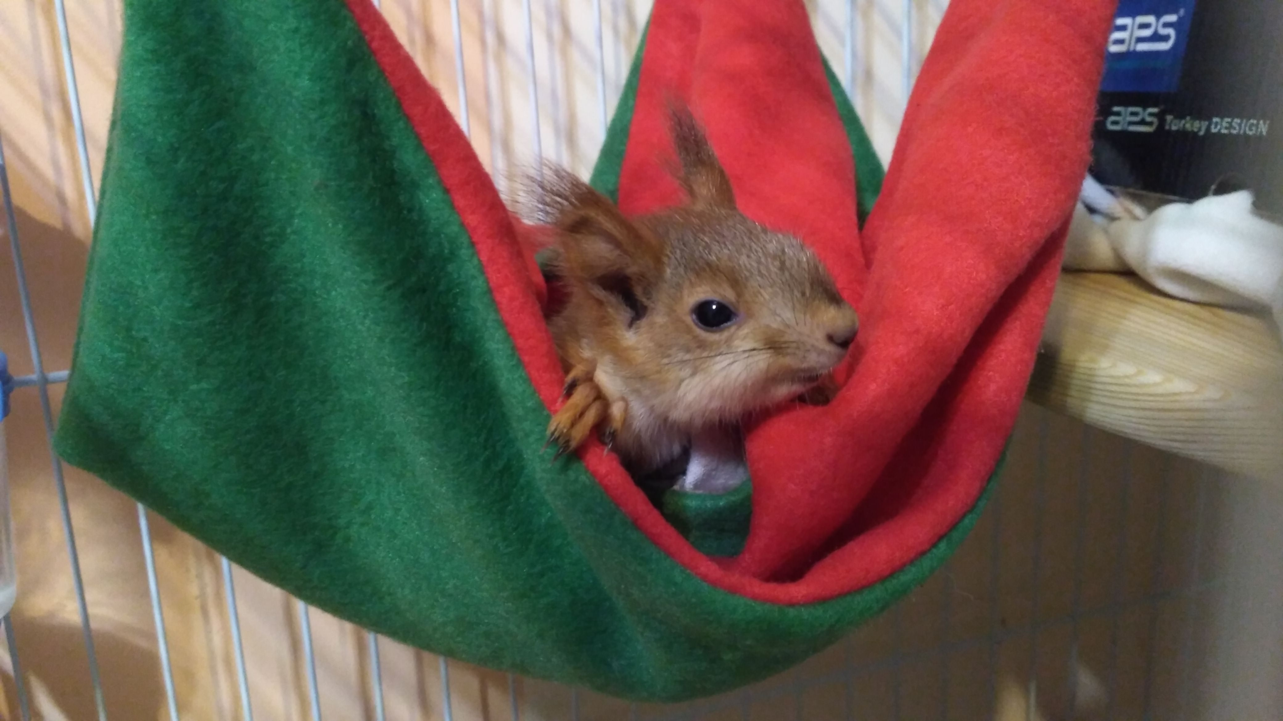 Нам примерно уже 60-65 дней