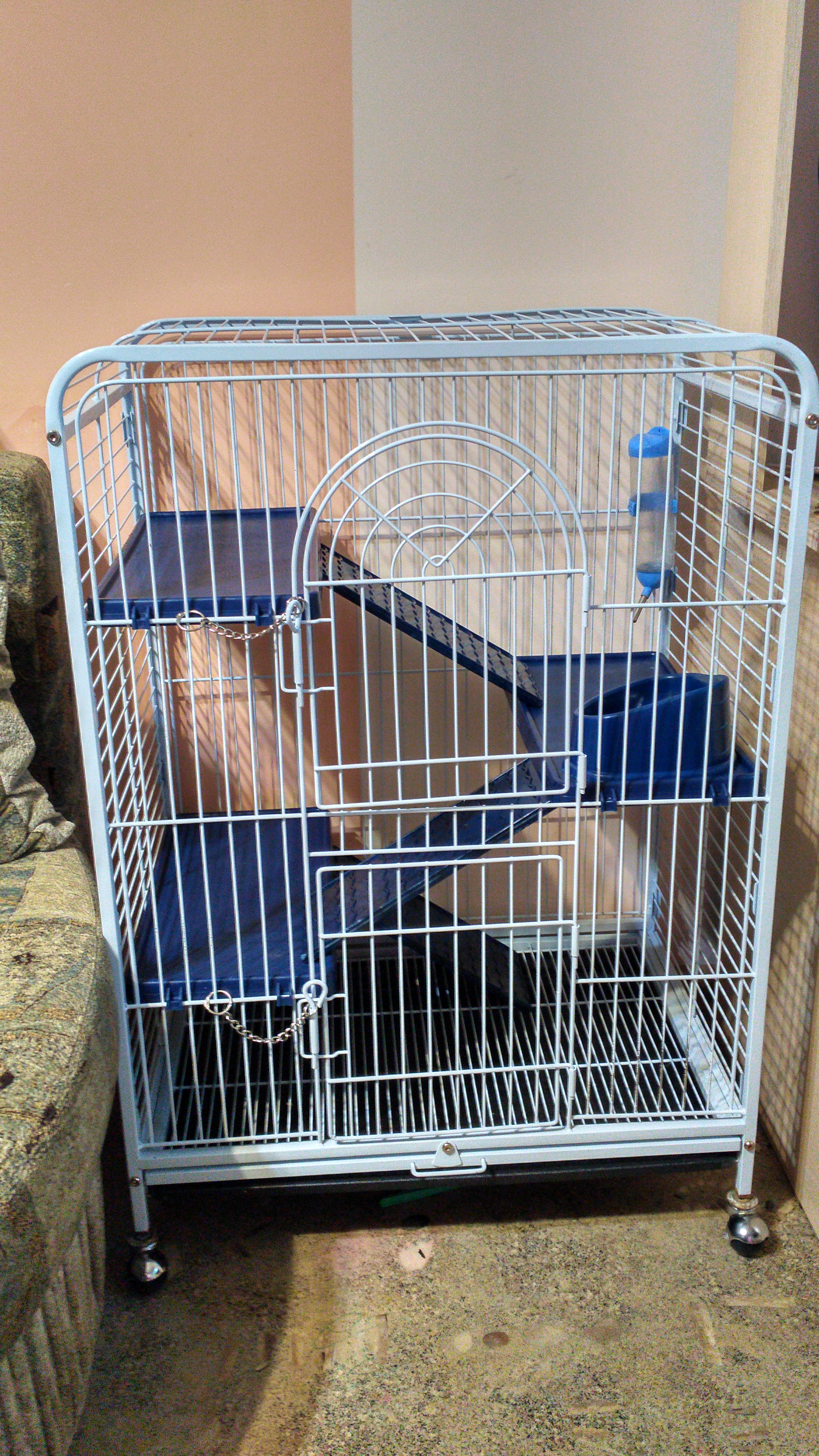 Новое жилье для белочки Фрути