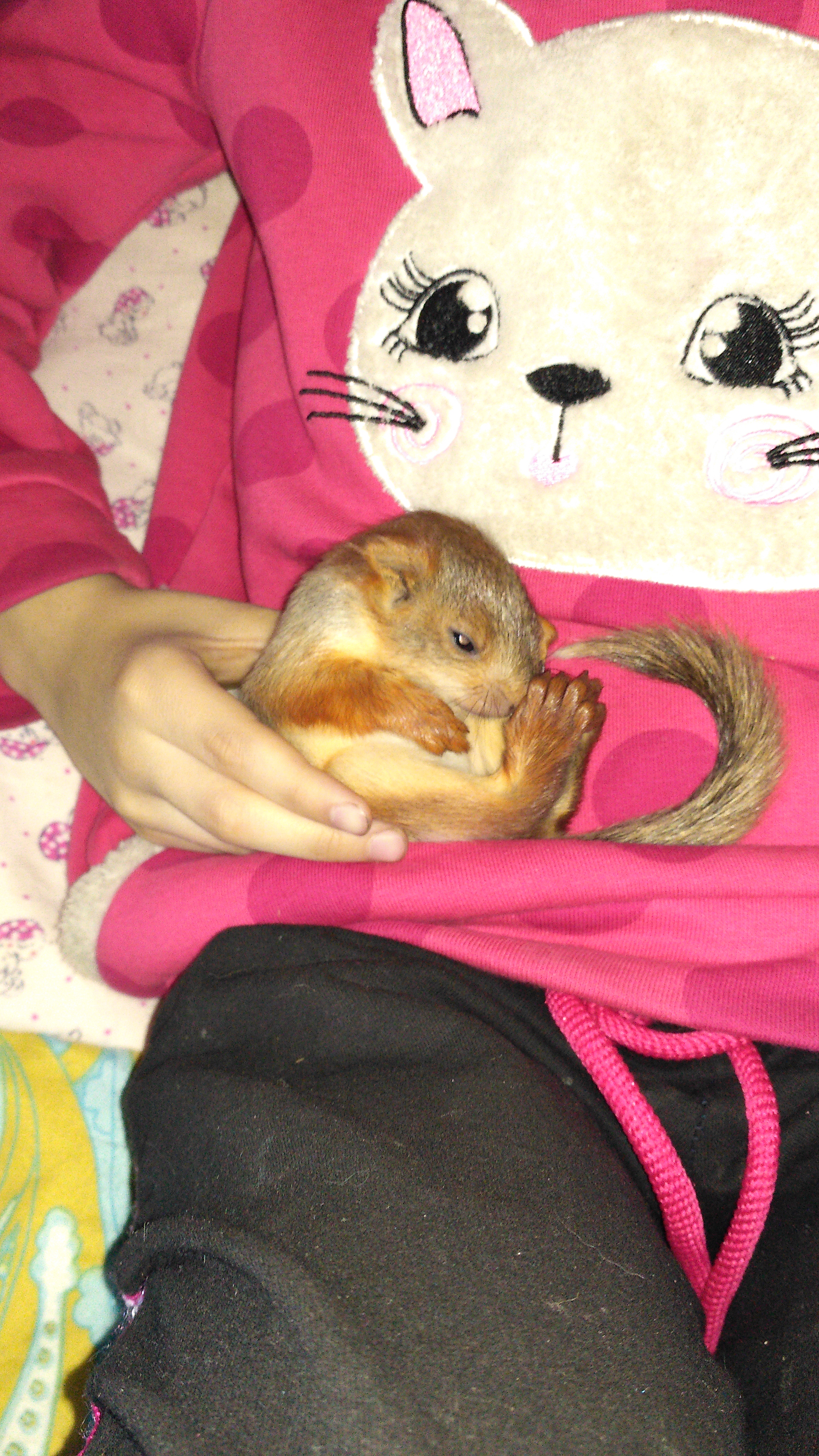 Первые дни у нас дома