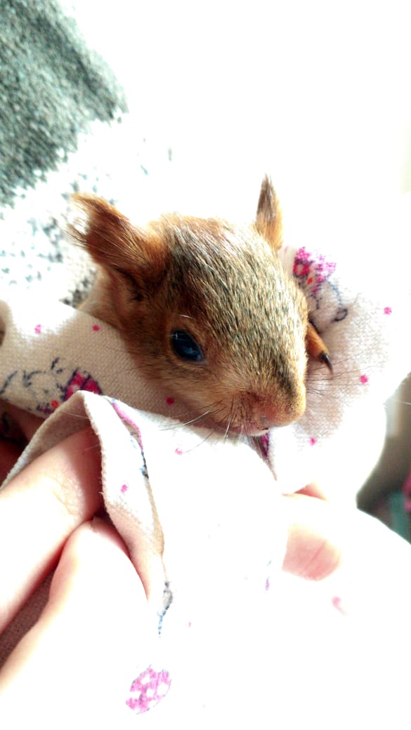 Первые дни у нас дома