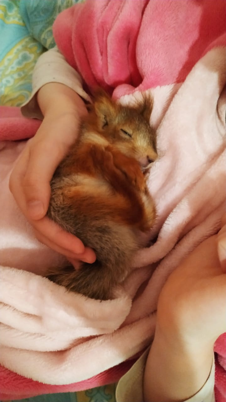 Поели, теперь можно и поспать