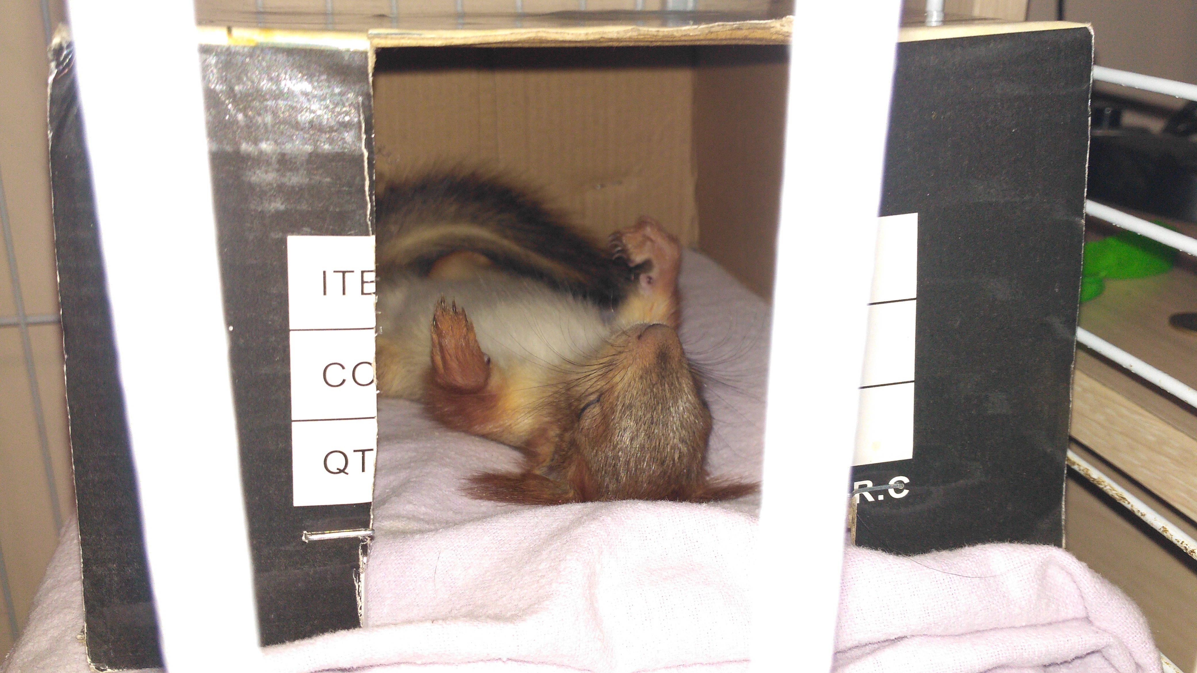 Хорошо спим