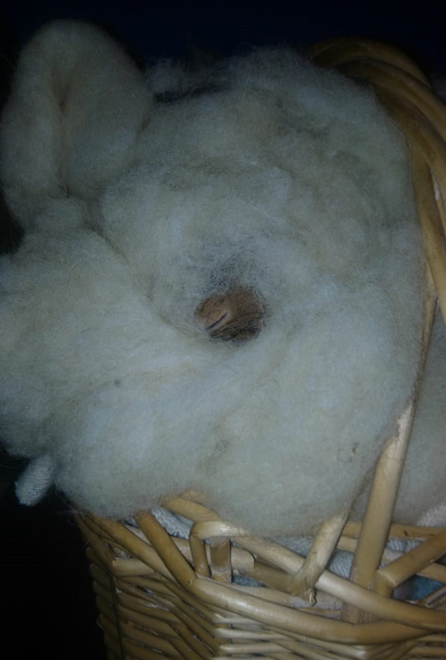 WhatsApp Image 2018-12-19.jpg