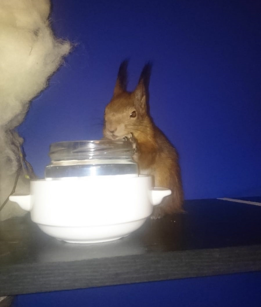 WhatsApp Image 2018-12-24.jpg