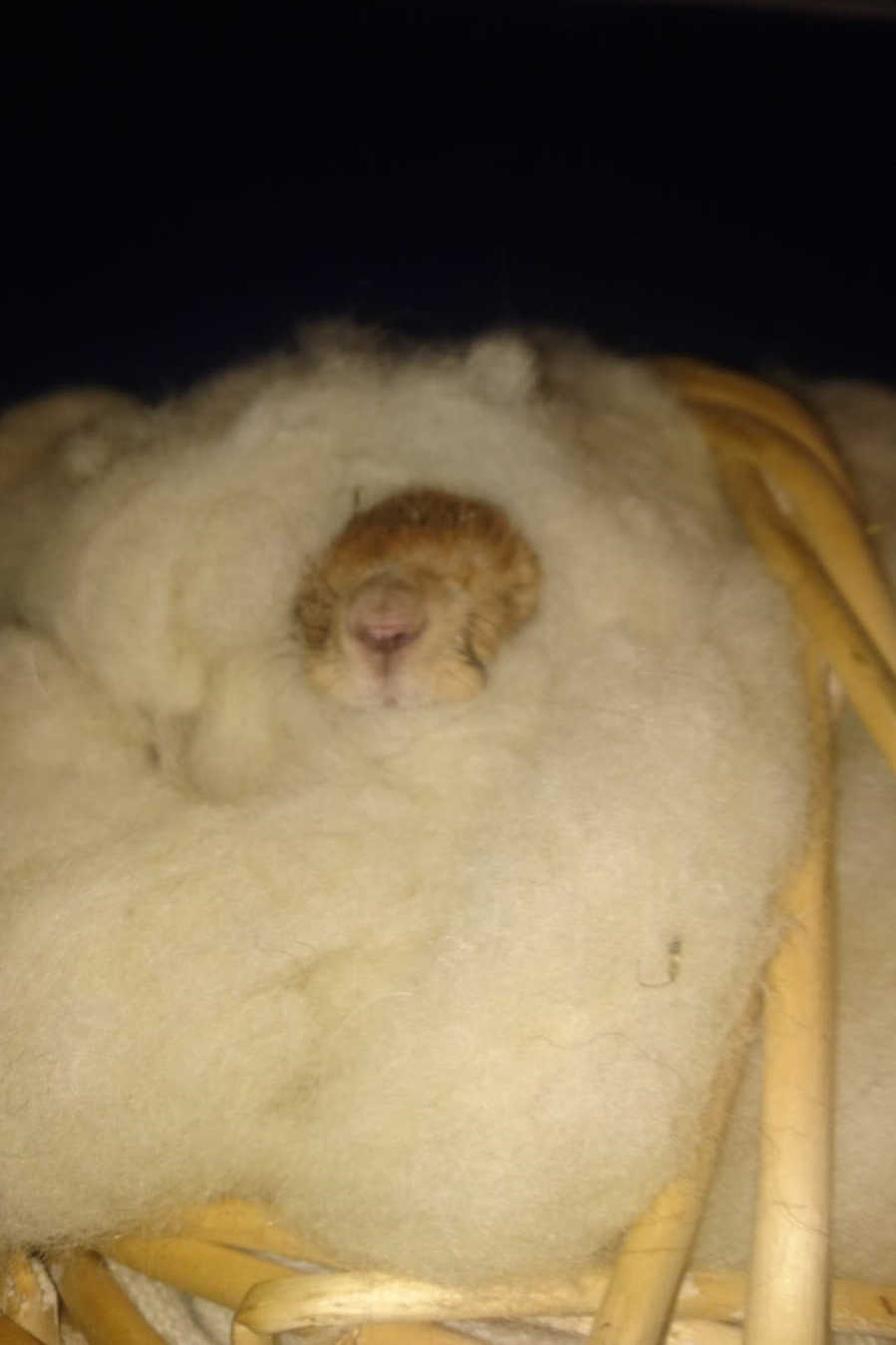 WhatsApp Image 2018-12-28 at 22.34.06.jpg