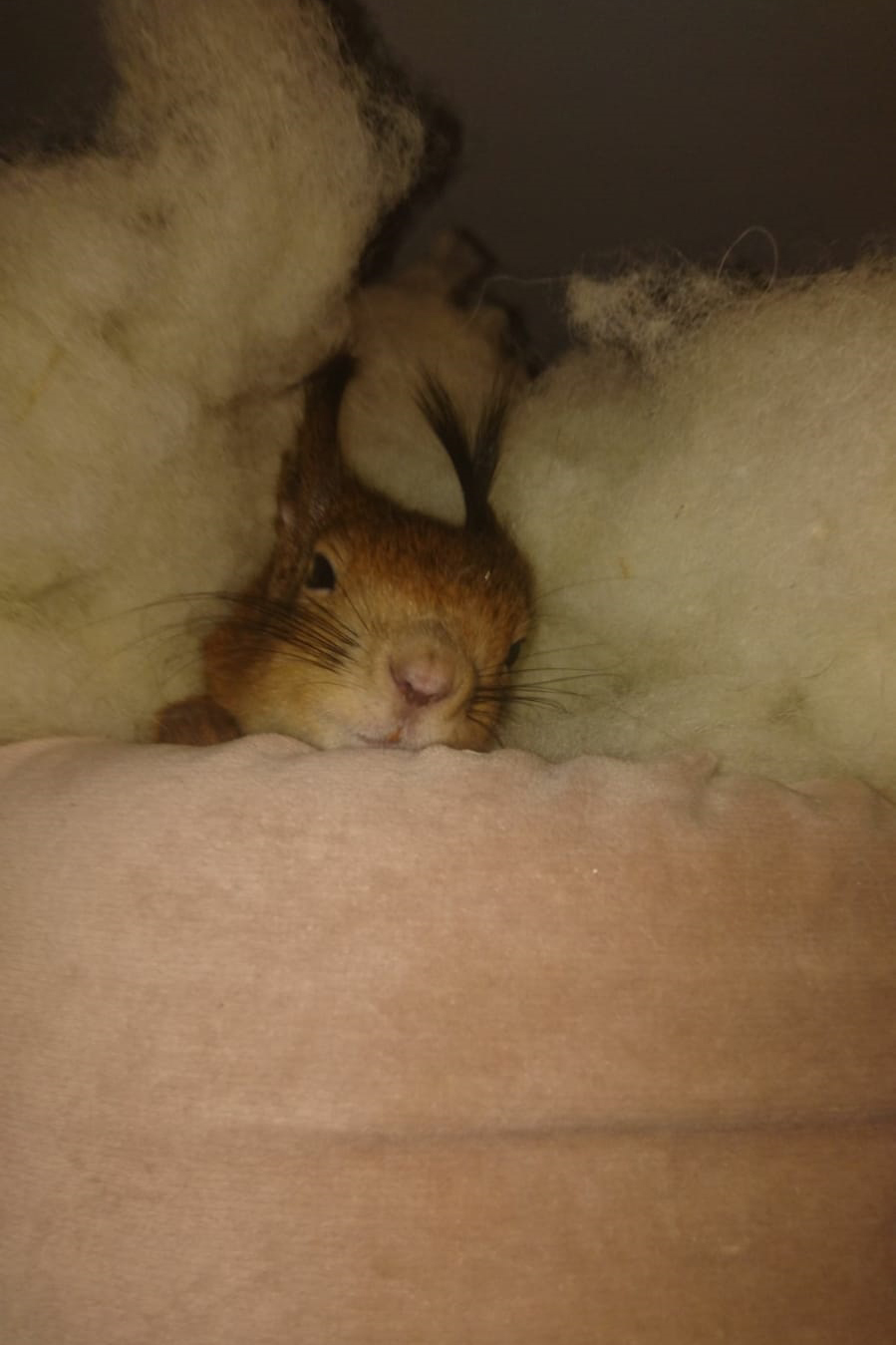 WhatsApp Image 2019-01-22 at 19.00.34.jpg