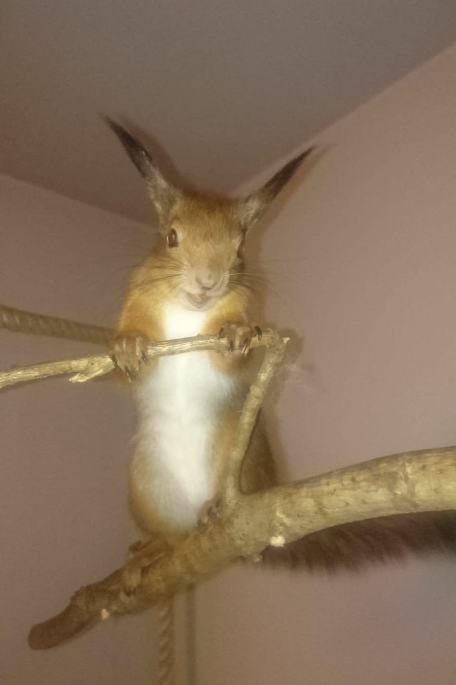 WhatsApp Image 2019-02-23 at 22.05.13.jpg